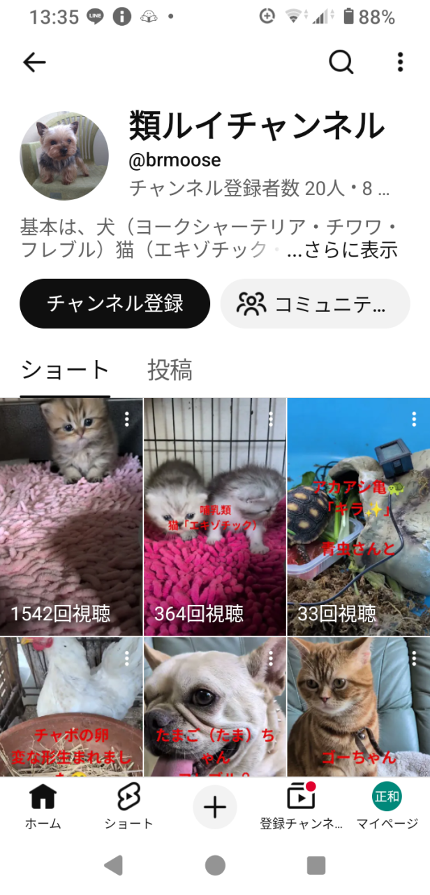 YouTubeを始めました。